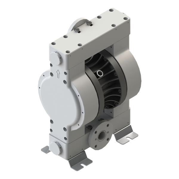 Double diaphragm pump DMP Model 2" PEE PURE